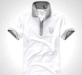 價(jià)格,廠家,批發(fā),男式t恤,東莞市虎門金依麗服裝廠