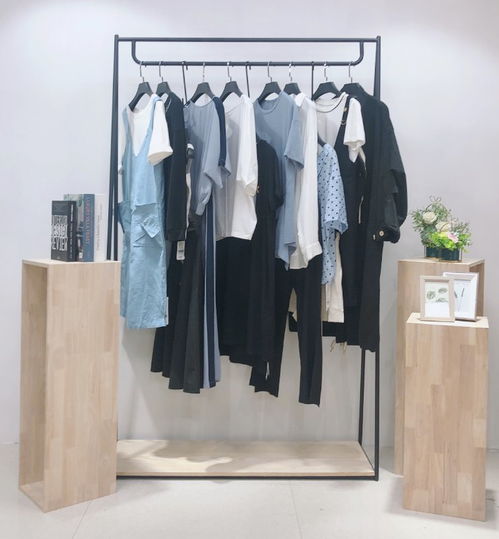 復古風尚，精品庫存女裝連衣裙尾貨批發(fā)指南