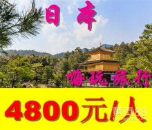西安金橋國際旅行社 古都旅游的卓越向?qū)c橋梁